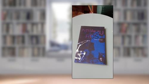 Capa de Intramuros, do autor Fábio Santiago