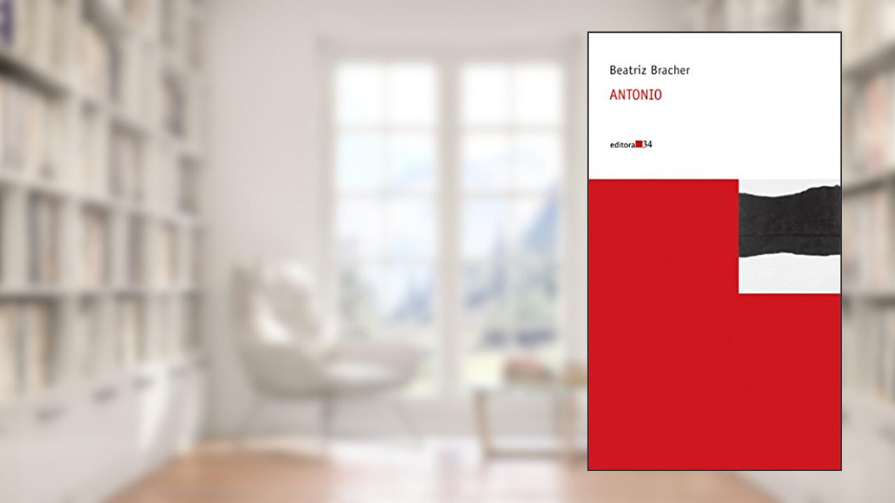 Antonio, do autor Beatriz Bracher