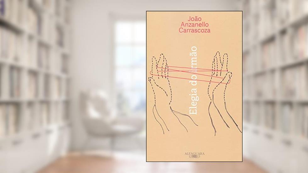 Elegia do irmão, do autor João Anzanello Carrascoza