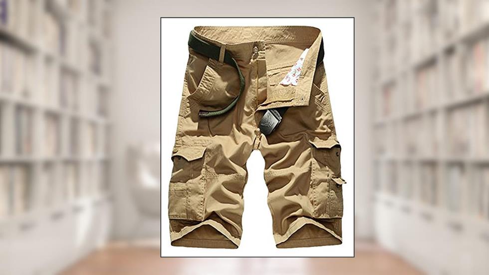 Emprego Apoiado - 2017, do autor Ricardo André Maranhão Santiago