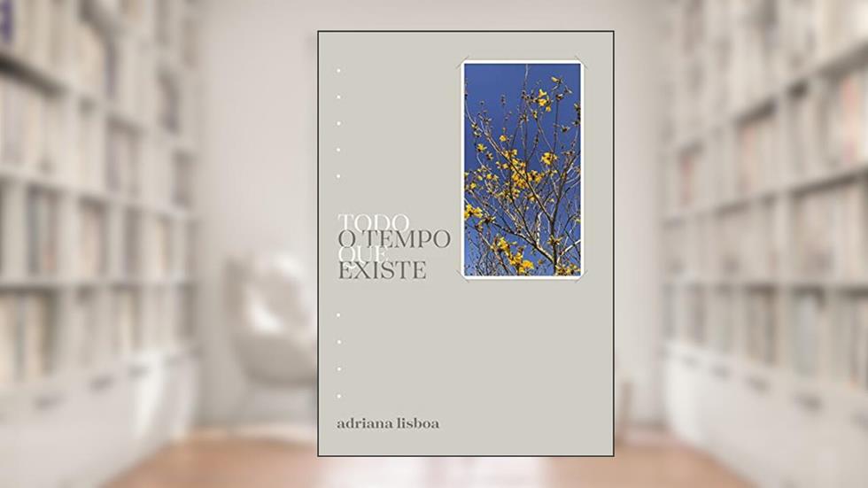 Todo o tempo que existe, do autor Adriana Lisboa