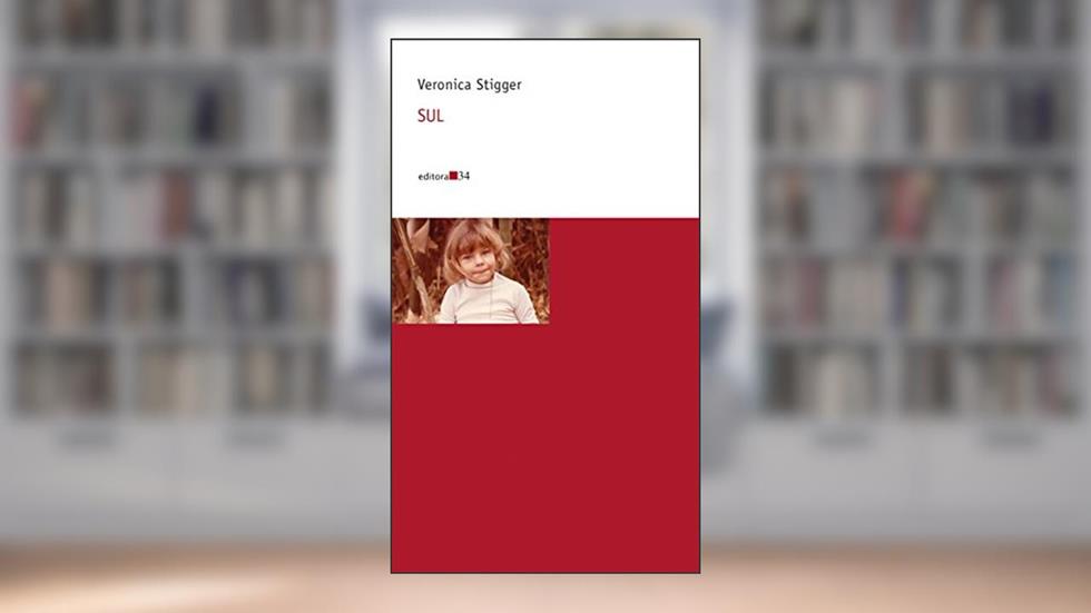 Sul, do autor Veronica Stigger