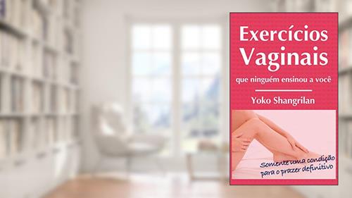 Capa de Exercícios vaginais que ninguém ensinou a você: Somente uma condição para o prazer definitivo, do autor Yoko Shangrilan