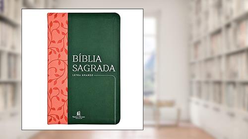 Capa de Bíblia Sagrada NVI, Couro Soft, Verde, Letra Grande, Leitura Perfeita, do autor Thomas Nelson Brasil