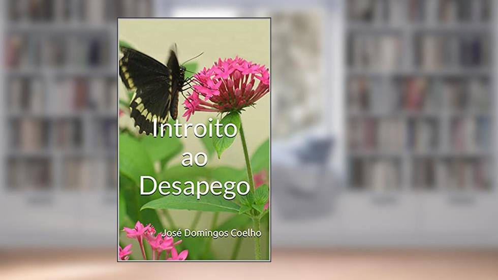 Introito ao Desapego, do autor José Domingos Coelho