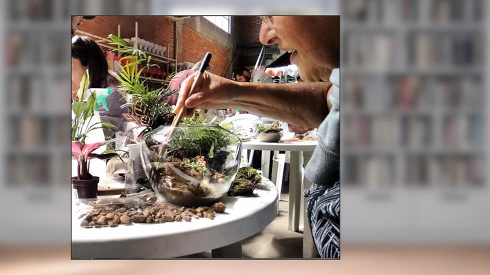 Terrário Fechado - Ecossistema: FAÇA VOCÊ MESMO SEU TERRÁRIO FECHADO - ECOSSISTEMA, do autor E-BOOK ELEMENTAL; ERICA MENDES