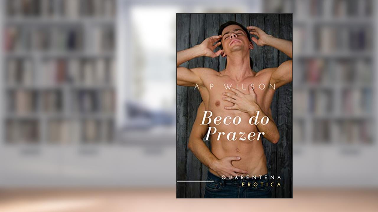 Beco do Prazer [Conto Erótico] (Contos Gays No Sigilo Livro 4), do autor A P Wilson