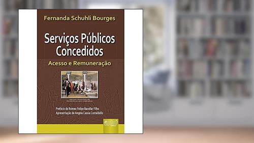 Capa de Serviços Públicos Concedidos: Acesso e Remuneração, do autor Fernanda Schuhli Bourges