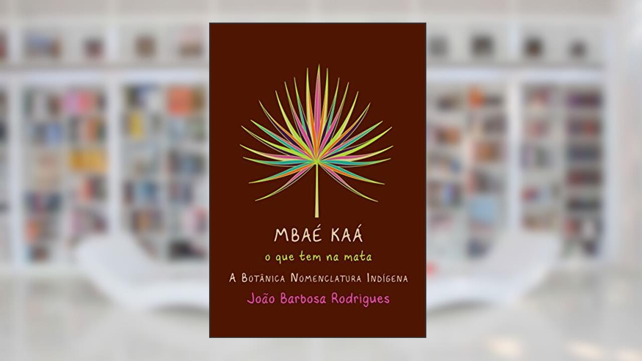 MBAE KAA, do autor JOAO BARBOSA RODRIGUES