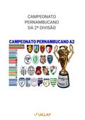 Ler CAMPEONATO PERNAMBUCANO DA 2 DIVISÃO: UMA VIAGEM PELA 2 DIVISÃO DO PERNAMBUCANO, do autor Carlos Eduardo Amorim de França