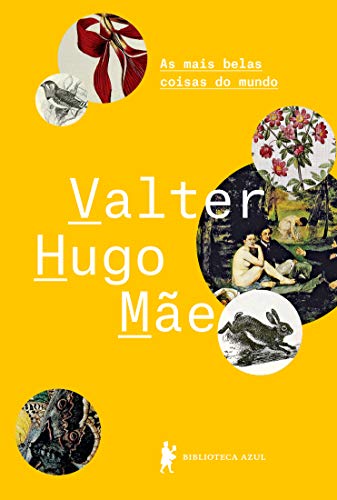 As mais belas coisas do mundo, do autor Valter Hugo Mãe