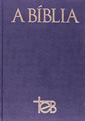 Ler Bíblia TEB - Popular - Capa dura, do autor Vários Autores
