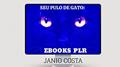 Ler SEU PULO DE GATO: : EBOOKS PLR., do autor JANIO COSTA