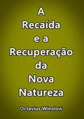Ler A Recaida e a Recuperacao da Nova Natureza, do autor Silvio Dutra