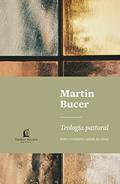 Ler Teologia pastoral: Sobre o verdadeiro cuidado das almas, do autor Martin Bucer Ler Teologia pastoral: Sobre o verdadeiro cuidado das almas, do autor Martin Bucer