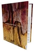 Ler Impressões, Acúmulos e Rasgos. Procedimentos Litográficos e Alguns Desvios, do autor Helena Kanaan