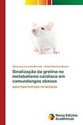 Ler Sinalização da grelina no metabolismo cardíaco em camundongos obesos: após hipernutrição na lactação, do autor Glauciane Lacerda Miranda; Anibal Sanchez Moura