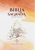 Ler Bíblia Sagrada - Iniciação A Vida Cristã, do autor vários autores Ler Bíblia Sagrada - Iniciação A Vida Cristã, do autor vários autores
