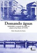 Ler Domando águas: Salubridade e Ocupação do Espaço na Cidade de São Paulo, 1875-1930, do autor Fábio Alexandre dos Santos