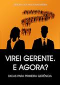 Ler VIREI GERENTE E AGORA?: DICAS PARA PRIMEIRA GERÊNCIA, do autor DÉBORA DOS ANJOS MADUREIRA