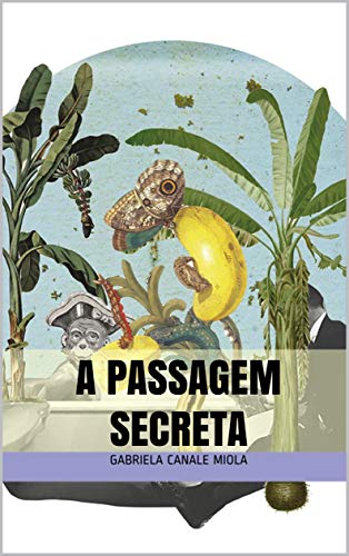 Ler A passagem Secreta, do autor Gabriela Canale Miola; Zé Vicente
