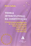 Ler Teoria Intercultural Da Constituição: A Transformação Paradigmática Da Teoria Da Constituição, do autor Bruno Galindo