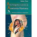 Ler Atlas Anatomia Humana: Membros Inferiores e Superiores, do autor Walter Thiel