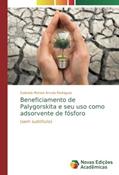 Ler Beneficiamento de Palygorskita e seu uso como adsorvente de fósforo: (sem subtítulo), do autor Gabriela Monice Arruda Rodrigues Ler Beneficiamento de Palygorskita e seu uso como adsorvente de fósforo: (sem subtítulo), do autor Gabriela Monice Arruda Rodrigues
