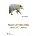 Ler Matrizes, Determinantes e Equaçoes Lineares. Fundamentos, do autor Bruno Wiering