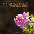 Ler Plantas do Serrado - Minas Gerais - Brasil, do autor L. Stocco