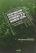 Ler Propriedade intelectual, internet e o marco civil, do autor Flavia Mansur Murad Schaal