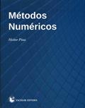 Ler Métodos Numéricos, do autor Heitor Pina