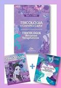 Ler BOX 2 LIVROS TRICOLOGIA, do autor Daniel Antunes Junior; Valéria M. de Souza Antunes; Ana Carolina H. Ribeiro Machado; Adriana Teixeira dos Reis Bertolletti