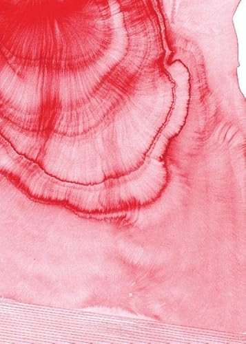 Ler NEMER: AQUARELAS RECENTES, do autor AGNALDO FARIAS; AGNALDO FARIAS