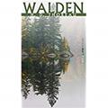 Ler Walden, do autor Henry David Thoreau