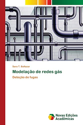 Ler Modelação de redes gás: Deteção de fugas, do autor Sara T. Baltazar