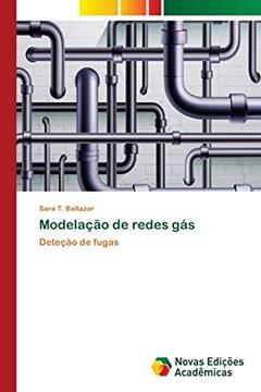 Modelação de redes gás: Deteção de fugas, do autor Sara T. Baltazar