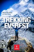 Ler Trekking Everest, do autor Alessandra Bibas; Eliziane Nicolao