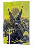 Ler Wolverine (2022) n. 01 - Capa Variante Ccxp, do autor David Walker