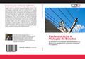 Ler Socioeducação e Violação de Direitos: O Simulacro do Sistema Socieoducativo no Brasil e o atendimento a jovens infratores na Espanha., do autor Roberto Bassan Peixoto