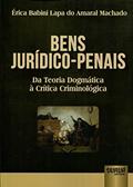 Ler Bens Jurídico-Penais - Da Teoria Dogmática à Crítica Criminológica, do autor Érica Babini Lapa do Amaral Machado Ler Bens Jurídico-Penais - Da Teoria Dogmática à Crítica Criminológica, do autor Érica Babini Lapa do Amaral Machado