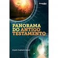 Ler Panorama bíblico do Antigo Testamento, do autor Angelo Gagliardi Júnior