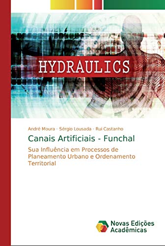 Ler Canais Artificiais - Funchal: Sua Influência em Processos de Planeamento Urbano e Ordenamento Territorial, do autor André Moura; Sérgio Lousada; Rui Castanho