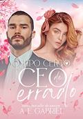 Ler O TIPO CERTO DE CEO ERRADO, do autor A. E. Gabriel