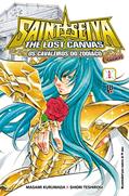 Ler Cavaleiros do Zodíaco (Saint Seiya) Gaiden - Volume 1, do autor Masami Kurumada; Shiori Teshirogi