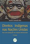 Ler Direitos indígenas nas Nações Unidas:: para uma atualização nas relações internacionais 2ª edição, do autor Antonio Guimarães Brito