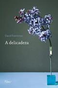 Ler A delicadeza, do autor David Foenkinos Ler A delicadeza, do autor David Foenkinos