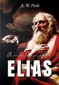 Ler A Vida do profeta Elias / A. W Pink, do autor Não Informado