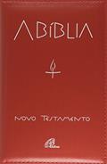 Ler A Bíblia - Novo testamento (encadernado), do autor Paulinas Editora Ler A Bíblia - Novo testamento (encadernado), do autor Paulinas Editora
