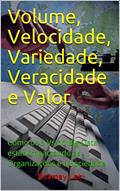 Ler Volume, velocidade, variedade, veracidade e valor: como os 5 Vs do big data estão impactando as organizações e a sociedade, do autor Stanley Loh